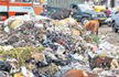 BBMP officials, contractors made Rs 161 cr from garbage clean-up